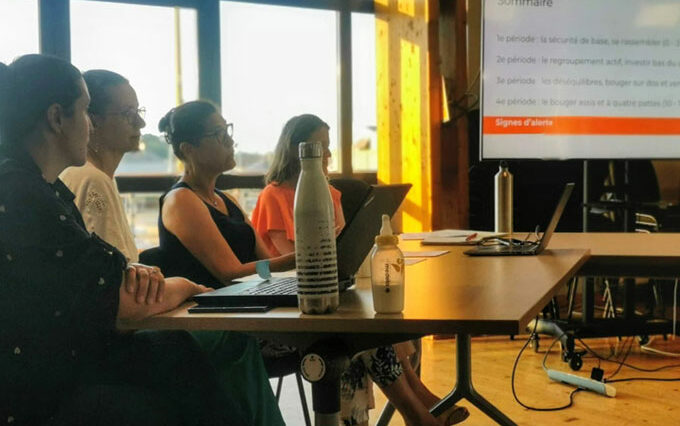 Développement enfant 0-12 mois MSP Paimpol