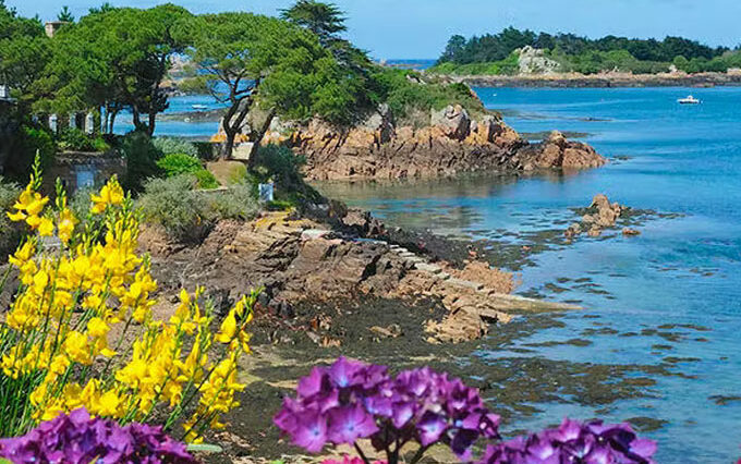 Msp Paimpol démarche qualité soins île de Bréhat